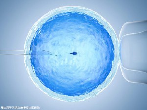 供卵联系方式